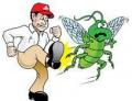 One Stop Pest Solutions