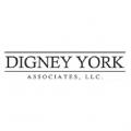 Digney York Associates, LLC