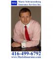 MSI - Mario Schwarzenberg Insurance Services Inc. 