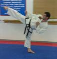 Taekwon-Do Maximus