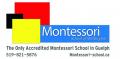 Montessori School of Wellington