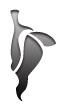 Abbey Lane Chiropractic & Massage Therapy Clinic