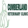 Cumberland Veterinary Clinic