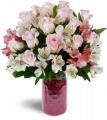 Grower Direct Fresh Cut Flowers