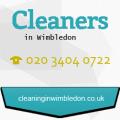 Cleaners in Wimbledon