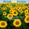 Norfolk SEO Services