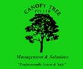 Canopy Tree Services Sydney