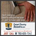 Feet Up Carpet Cleaning of Alexandria