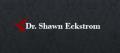 Shawn Eckstrom D.D.S.