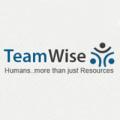 Teamwise