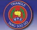 Triangle Tang Soo Do