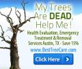 Best Tree Care