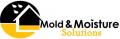 Mold & Moisture Solutions