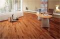 Super Choice Carpet & Hardwood