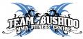 Team Bushido MMA Fitness Center