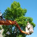 Topper's Total Tree Service