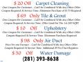 Carpet Cleaner Pearland