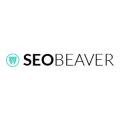 Scale Owl Digital Marketing