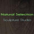 Natural Selection Sculpture Studio