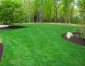 Down to Earth Lawn Care