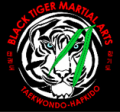 Black Tiger Martial Arts