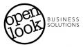 Open Look Business Solutions