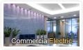 Trius Electric, Inc.