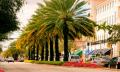 Miracle Mile & Downtown Coral Gables