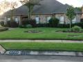 Texas Best Lawn & Landscaping/Irrigation