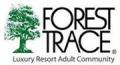 Forest Trace