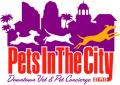 Pets In The City St Pete