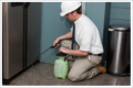 Exceptional Pest Control and Termite Services