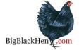 BigBlackHen