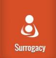 India Surrogacy Clinic