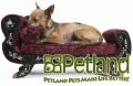 Petland Overland Park