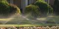 Irrigation Solutions of Las Vegas