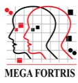 Mega Fortris Americas
