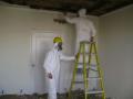Mold Remediation Pros