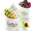 Freshberry Frozen Yogurt