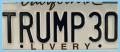 Trump Limousine Inc