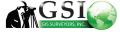 GIS Surveyors, Inc.