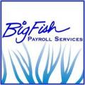 Big Fish Payroll Services