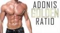 Adonis Golden Ratio