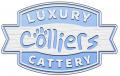 Colliers Cattery