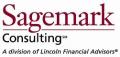 Sagemark Consulting, Scott Goldstein