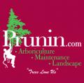Prunin Arboriculture and Landscapes