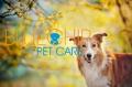 Blue Chip Pet Care Charlotte