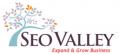 SEOValley Solutions Private Limited