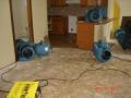 All City Water Damage