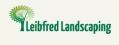 Leibfred Group